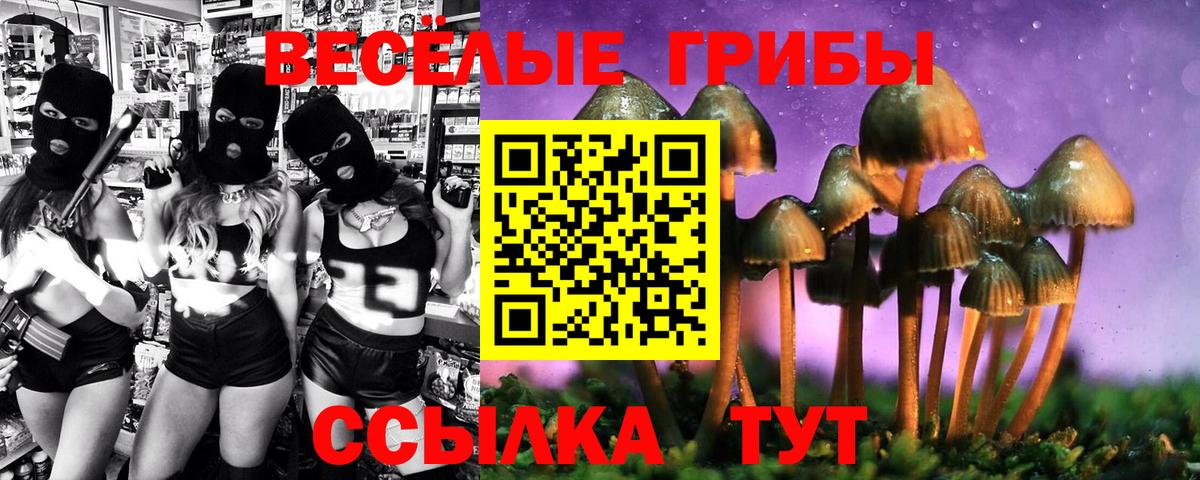 Галлюциногенные грибы Cubensis  Вход с VPN  Сергиев Посад 